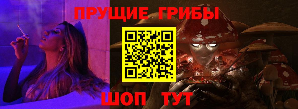 закладки  Вход с VPN  Сочи  Галлюциногенные грибы Cubensis 